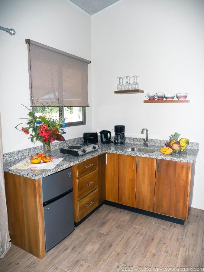 Luxury Apartments Nauyaca By Paradiselodge Platanillo Εξωτερικό φωτογραφία