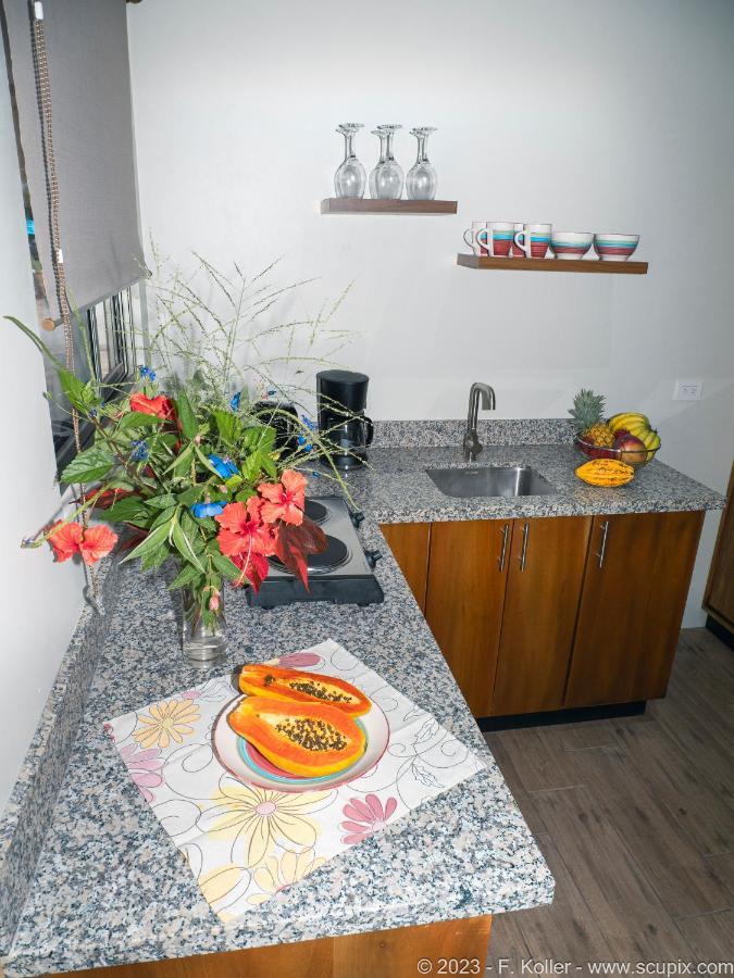 Luxury Apartments Nauyaca By Paradiselodge Platanillo Εξωτερικό φωτογραφία