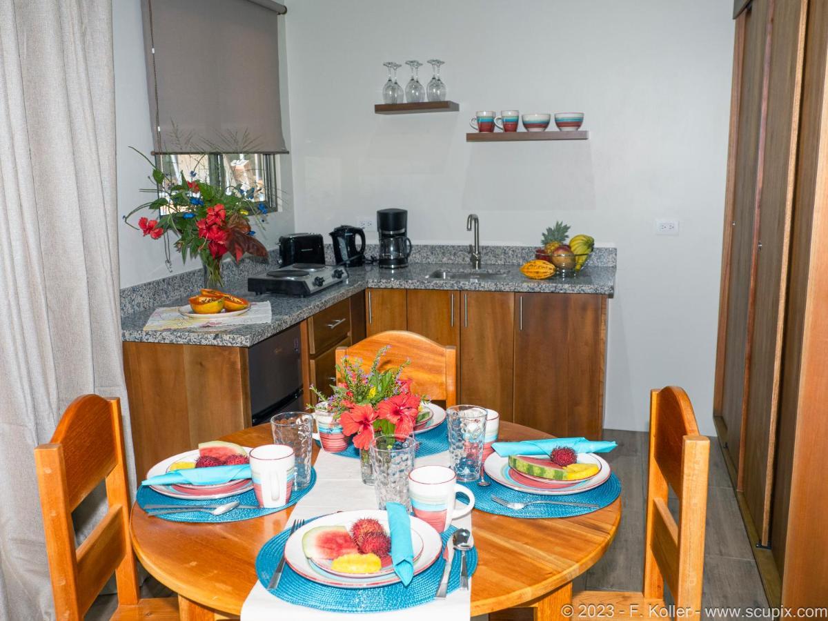 Luxury Apartments Nauyaca By Paradiselodge Platanillo Εξωτερικό φωτογραφία